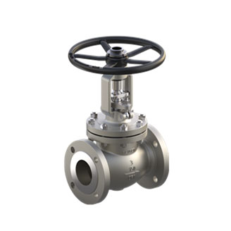 Bellows globe valves