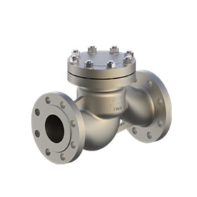 Lift flange check valve